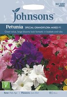 UK/JO-PETUNIA Special Grandiflora Mixed F1