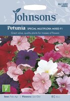 UK/JO-PETUNIA Special Multiflora Mixed F1