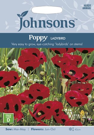 UK/JO-POPPY Ladybird