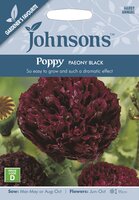 UK/JO-POPPY Paeony Black