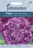 UK/JO-POPPY Paeony Purple Passion