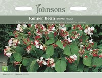 UK/JO-RUNNER BEAN (Dwarf) Hestia