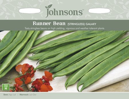 UK/JO-RUNNER BEAN Galaxy (Stringless)