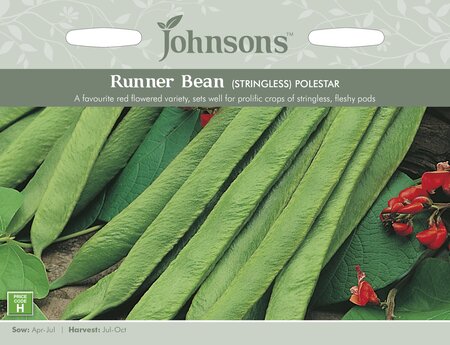 UK/JO-RUNNER BEAN Polestar (Stringless)