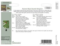 UK/JO-RUNNER BEAN Scarlet Emperor - image 2