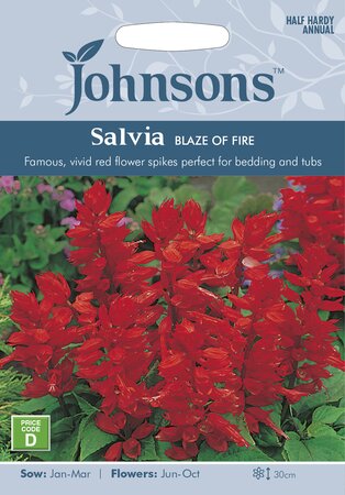 UK/JO-SALVIA Blaze of Fire