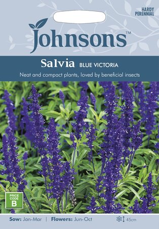 UK/JO-SALVIA Blue Victoria - image 1
