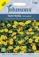 UK/JO-SANVITALIA procumbens