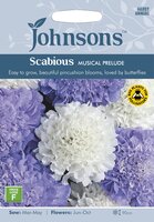 UK/JO-SCABIOUS Musical Prelude