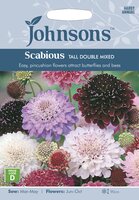 UK/JO-SCABIOUS Tall Double Mixed - image 1