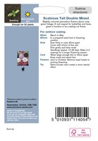 UK/JO-SCABIOUS Tall Double Mixed - image 2
