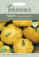 UK/JO-SQUASH (Summer) Sunburst F1