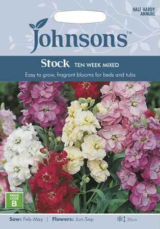 UK/JO-STOCK Ten Week Mixed - image 1