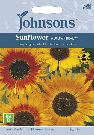 UK/JO-SUNFLOWER Autumn Beauty - image 1