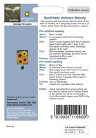 UK/JO-SUNFLOWER Autumn Beauty - image 2