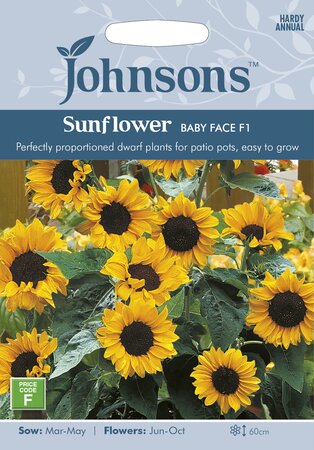 UK/JO-SUNFLOWER Baby Face F1