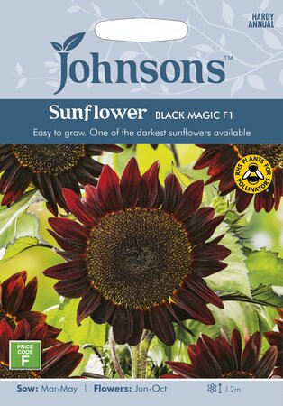 UK/JO-SUNFLOWER Black Magic F1 - image 1