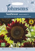 UK/JO-SUNFLOWER Black Magic F1 - image 1