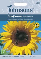 UK/JO-SUNFLOWER Giant Single