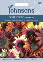 UK/JO-SUNFLOWER Infrared F1