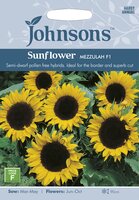 UK/JO-SUNFLOWER Mezzulah F1