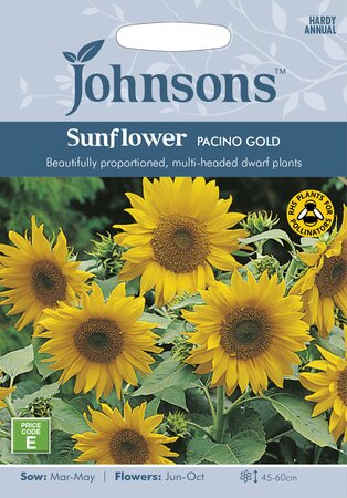 UK/JO-SUNFLOWER Pacino Gold