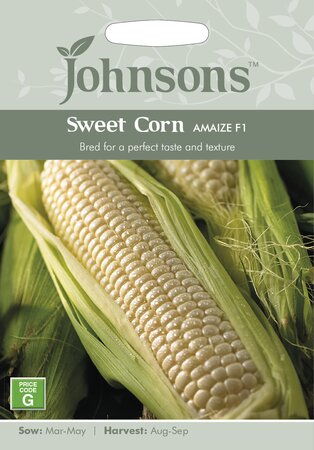 UK/JO-SWEET CORN Amaize F1