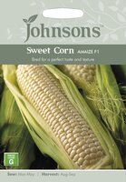UK/JO-SWEET CORN Amaize F1
