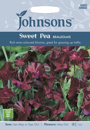 UK/JO-SWEET PEA Beaujolais