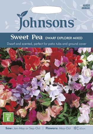 UK/JO-SWEET PEA Dwarf Explorer Mixed