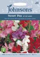 UK/JO-SWEET PEA Jet Set Mixed - image 1