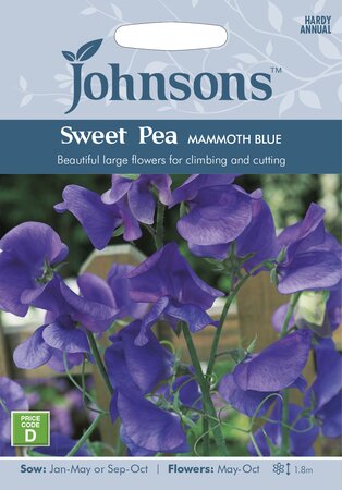 UK/JO-SWEET PEA Mammoth Blue