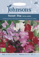 UK/JO-SWEET PEA Royal Mixed