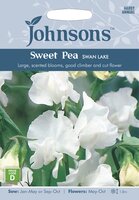 UK/JO-SWEET PEA Swan Lake - image 1