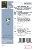 UK/JO-SWEET PEA Swan Lake - image 2