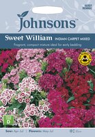 UK/JO-SWEET WILLIAM Indian Carpet Mixed - image 1