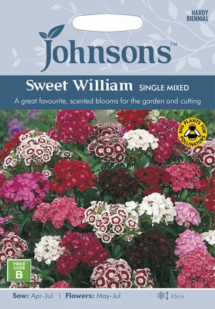 UK/JO-SWEET WILLIAM Single Mixed