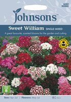UK/JO-SWEET WILLIAM Single Mixed