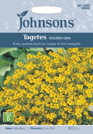 UK/JO-TAGETES Golden Gem - image 1