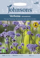 UK/JO-VERBENA bonariensis - image 1