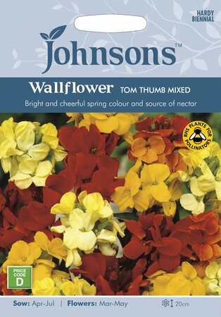 UK/JO-WALLFLOWER Tom Thumb Mixed