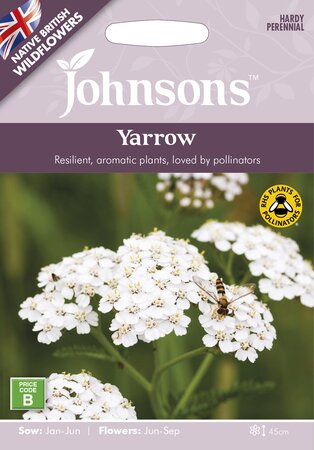 UK/JO-Yarrow