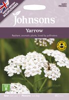 UK/JO-Yarrow