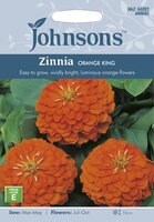 UK/JO-ZINNIA Orange King - image 1