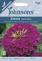 UK/JO-ZINNIA Purple Prince
