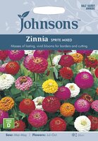 UK/JO-ZINNIA Sprite Mixed