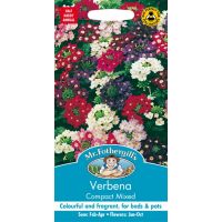 UK/FO-VERBENA Compact Mixed - image 1