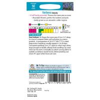 UK/FO-VERBENA Intensity - image 2