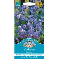 UK/FO-VERBENA Intensity - image 1