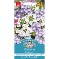 UK/FO-VERBENA Scentsation - image 1